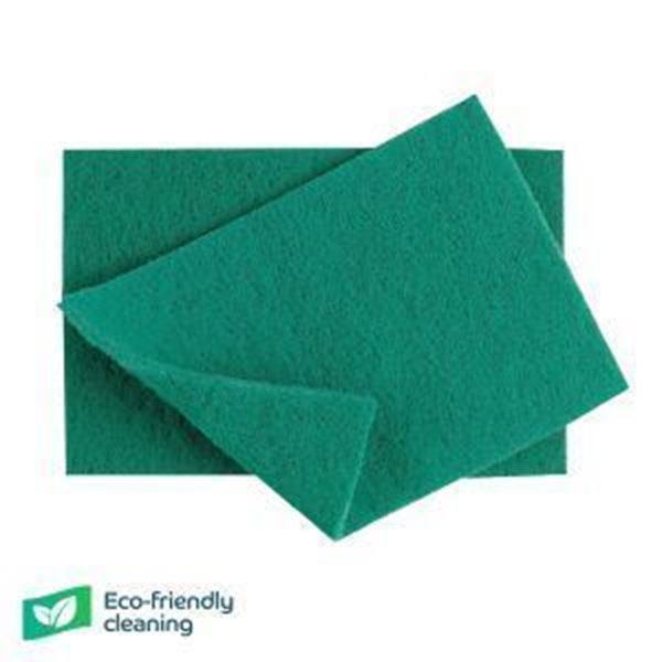 x10 Scouring Pads 22x15cm/ 9x6" - Green
