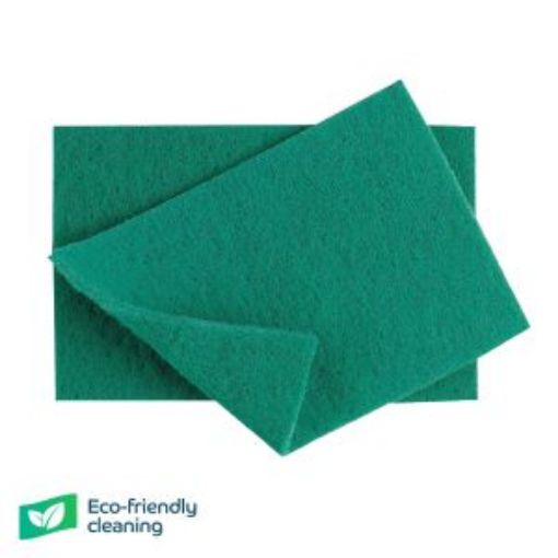 Picture of x10 Scouring Pads 22x15cm/ 9x6" - Green