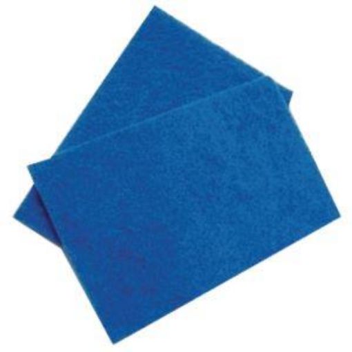 Picture of x10 Scouring Pads 22x15cm/ 9x6" - Blue