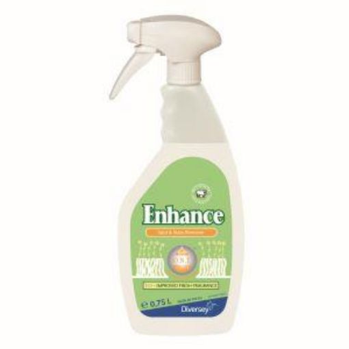 Picture of Enhance Spot & Stain Remover (750ml)