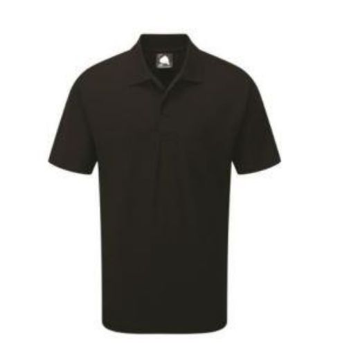 Picture of Raven Classic Polo Shirt - Black 